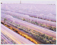 光選擇類多功能生態反光地膜（轉光膜）